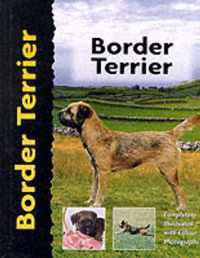 Border Terrier