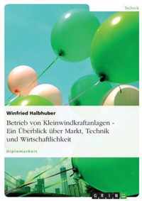 Betrieb von Kleinwindkraftanlagen. Ein UEberblick uber Markt, Technik und Wirtschaftlichkeit