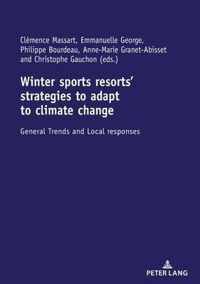 Winter sports resorts strategies to adapt to climate change