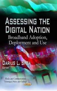 Assessing the Digital Nation