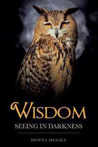 Wisdom Seeing in Darkness