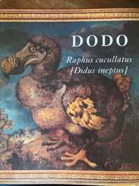 Dodo raphus cucullatus didus pheptus