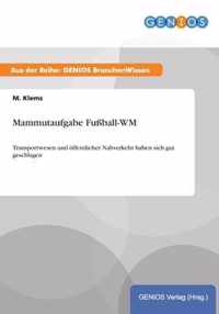 Mammutaufgabe Fussball-WM