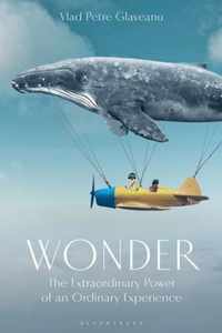 Wonder