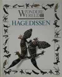 Wondere wereld van de hagedissen