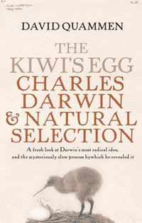 The Kiwi's Egg