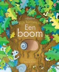 Kijk binnen in Een boom