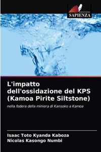 L'impatto dell'ossidazione del KPS (Kamoa Pirite Siltstone)