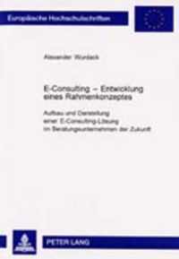 E-Consulting  Entwicklung eines Rahmenkonzeptes