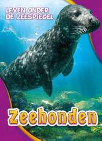 Leven onder de zeespiegel  -   Zeehonden