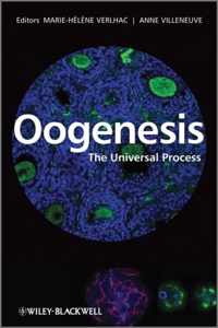 Oogenesis