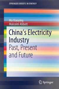 China s Electricity Industry