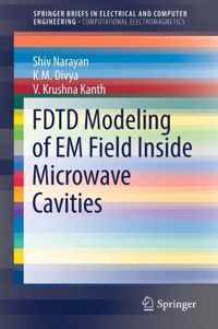 FDTD Modeling of EM Field inside Microwave Cavities