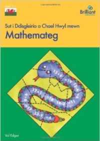 Sut i Ddisgleirio a Chael Hwyl mewn Mathemateg