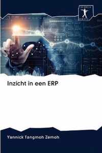 Inzicht in een ERP