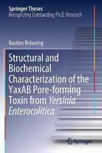 Structural and Biochemical Characterization of the YaxAB Pore-forming Toxin from Yersinia Enterocolitica