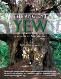 The Ancient Yew