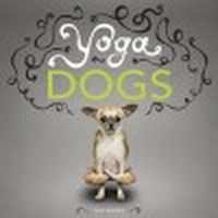 Yoga Dogs