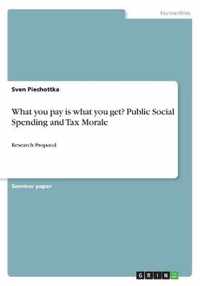 What you pay is what you get? Public Social Spending and Tax Morale