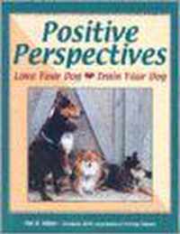 Positive Perspectives