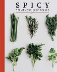 Spicy - Aron Woonink, Bente van Oort - Paperback (9789464438703)