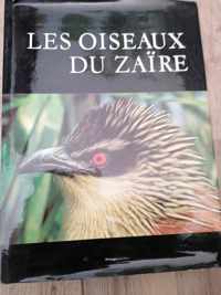 Oiseaux du zaire