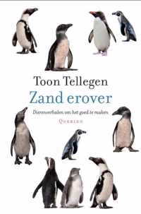 Zand erover