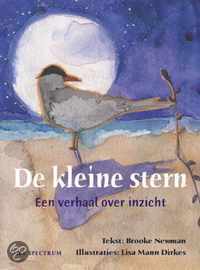 De kleine stern