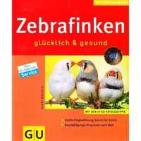 zebrafinken glücklich und gesund