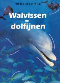 Walvissen En Dolfijnen