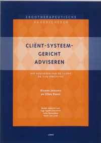 Client-systeem-gericht adviseren