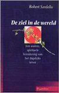 De ziel in de wereld