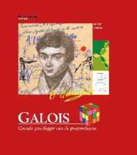 Galois. Geniale grondlegger van de groepentheorie