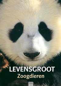 Levensgroot Zoogdieren Zoogdieren