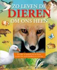 Zo leven de dieren om ons heen