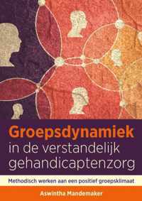 Groepsdynamiek in de verstandelijk gehandicaptenzorg