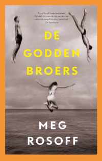 Zomerdrieluik 1 -   De Godden broers