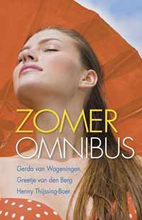 2013 zomeromnibus