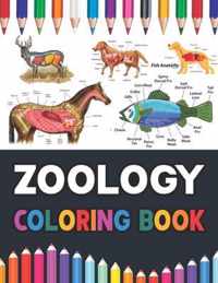 Zoology Coloring Book