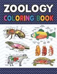 Zoology Coloring Book