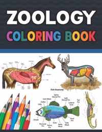 Zoology Coloring Book