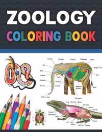 Zoology Coloring Book