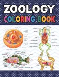 Zoology Coloring Book