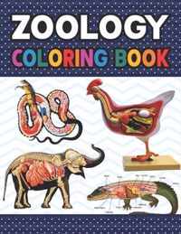 Zoology Coloring Book