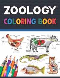 Zoology Coloring Book