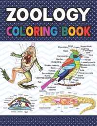 Zoology Coloring Book