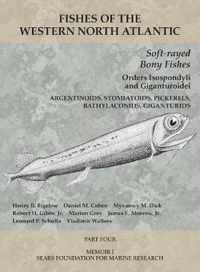 Soft-rayed Bony Fishes: Orders Isospondyli and Giganturoidei