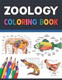 Zoology Coloring Book