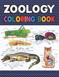 Zoology Coloring Book