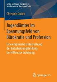 Jugendämter im Spannungsfeld von Bürokratie und Profession